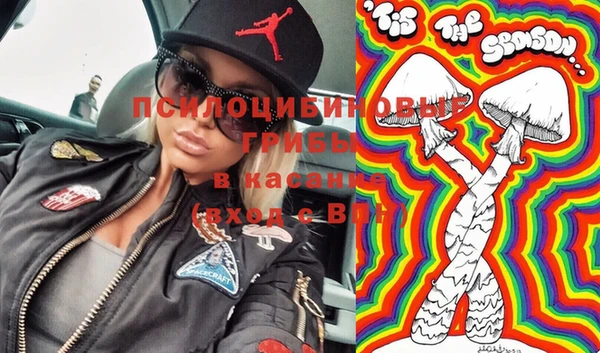 бошки Алексин