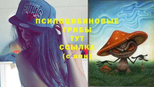 jwh Алзамай