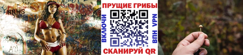 Галлюциногенные грибы MAGIC MUSHROOMS  Югорск 